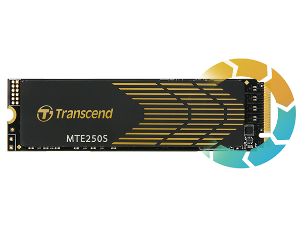 SSD interne Transcend MTS825S - SSD - 250 Go - interne - M.2 2280 - SATA  6Gb/s