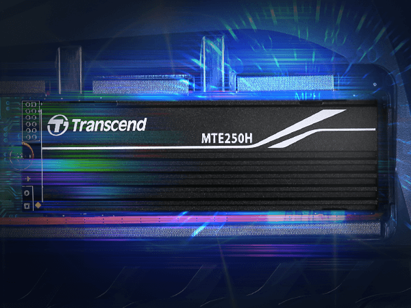 Transcend TS256GMTS952P-I M.2 2280 SATA3 Internal SSD