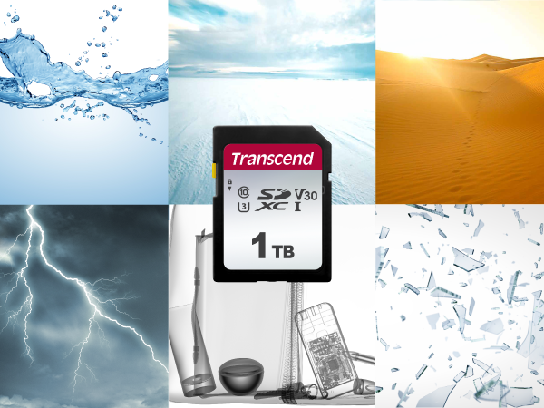 Transcend 32Go SDXC/SDHC 300S Carte SD - 32Go - Emballage Ouverture  facile TS32GSDC300S-E : : Informatique